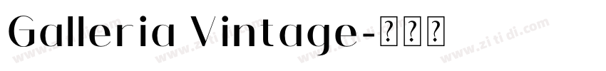 Galleria Vintage字体转换